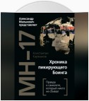 MH-17. Хроника пикирующего Боинга. Правда о самолете, который никто не сбивал