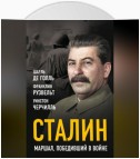 Сталин. Маршал, победивший в войне