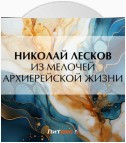 Из мелочей архиерейской жизни