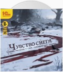 Чувство снега. Сборник рассказов