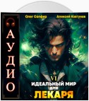 Идеальный мир для Лекаря 6