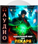 Идеальный мир для Лекаря 9