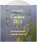 Скобки икса. Литературная критика