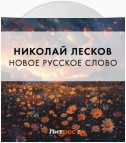 Новое русское слово