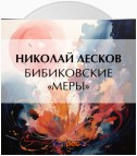 Бибиковские «меры»