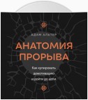 Анатомия прорыва. Как купировать демотивацию и дойти до цели