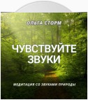 Чувствуйте звуки. Медитация со звуками природы