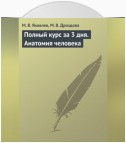 Полный курс за 3 дня. Анатомия человека