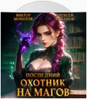 Последний Охотник на Магов. Том 4