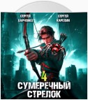 Сумеречный стрелок 4