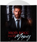 Мой босс – злой Мороз!