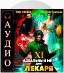 Идеальный мир для Лекаря 11