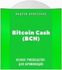 Bitcoin Cash (BCH). Полное руководство для начинающих