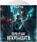 Первый шаг Некроманта. Том 4