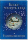 Большая Новогодняя книга. 15 историй под Новый год и Рождество