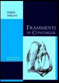 Frammenti di conchiglie