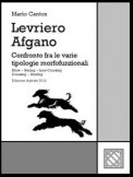 Levriero Afgano - Afghan Hound