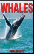 Whales