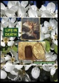 Life in death