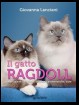 Il gatto Ragdoll. Manuale di istruzioni: origine, caratteristiche, cure