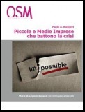 Piccole e medie imprese che battono la crisi