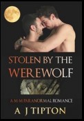 Stolen by the Werewolf: A M-M Paranormal Romance