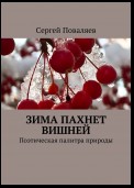 Зима пахнет вишней. Поэтическая палитра природы