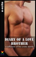 Diary of a Love Brother