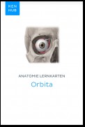 Anatomie Lernkarten: Orbita