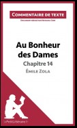 Au Bonheur des Dames de Zola - Chapitre 14 - Émile Zola (Commentaire de texte)