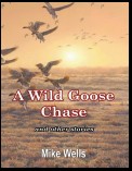 A Wild Goose Chase: And Other Stories