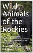 Wild Animals of the Rockies