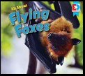 All About Flying Foxes