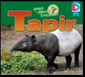 Animals of the Amazon Rainforest: Tapir