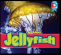 All About Jellyfish