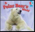 A Polar Bear's World