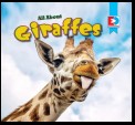 All About Giraffes