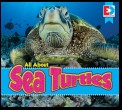 All About Sea Turtles