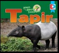 Animals of the Amazon Rainforest: Tapir