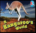 A Kangaroo's World