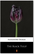 The Black Tulip