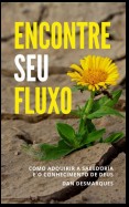 Encontre Seu fluxo