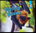 All About Flying Foxes