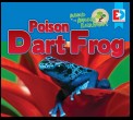 Animals of the Amazon Rainforest: Poison Dart Frog