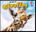 All About Giraffes