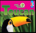 Animals of the Amazon Rainforest: Toucan