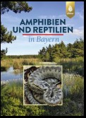 Amphibien und Reptilien in Bayern