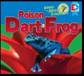 Animals of the Amazon Rainforest: Poison Dart Frog