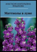 Маттиолы в луже