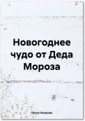 Новогоднее чудо от Деда Мороза